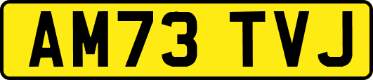 AM73TVJ