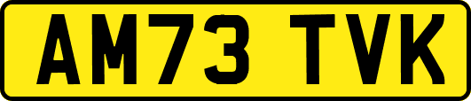AM73TVK