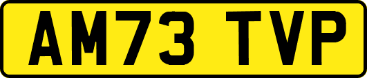 AM73TVP