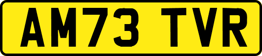 AM73TVR