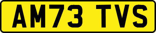 AM73TVS