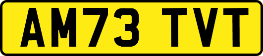 AM73TVT