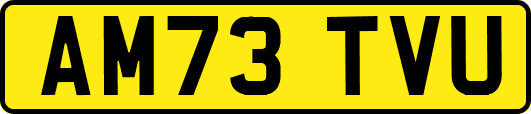 AM73TVU