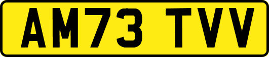 AM73TVV