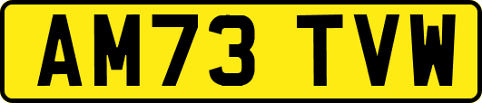 AM73TVW