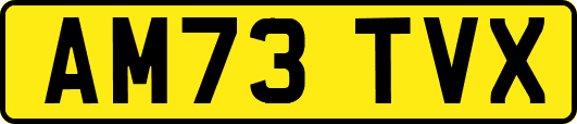 AM73TVX