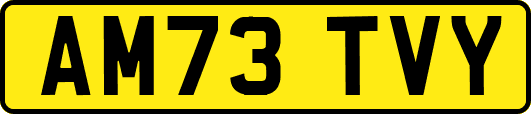 AM73TVY