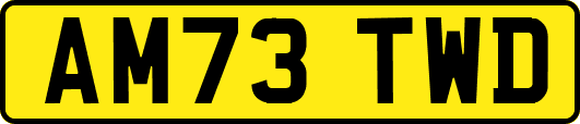 AM73TWD