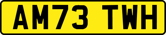 AM73TWH
