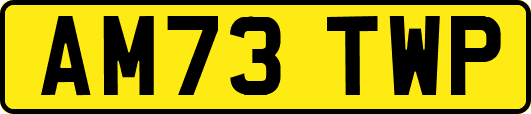 AM73TWP