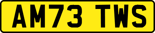 AM73TWS