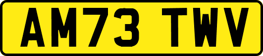 AM73TWV