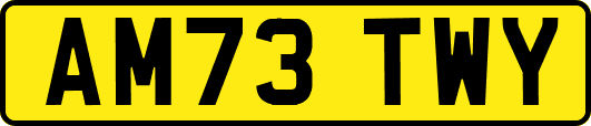 AM73TWY