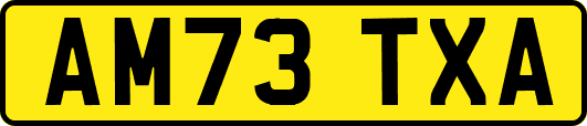 AM73TXA