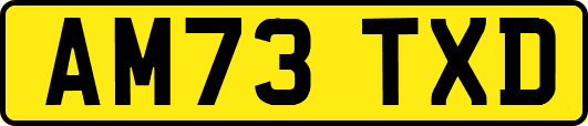 AM73TXD