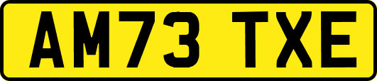 AM73TXE