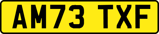 AM73TXF