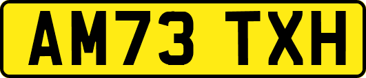 AM73TXH