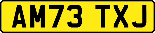 AM73TXJ
