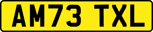 AM73TXL