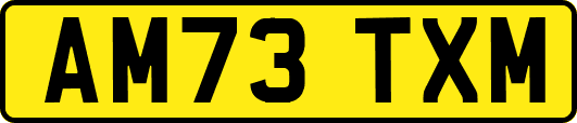AM73TXM