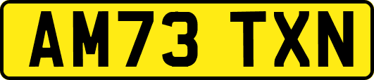 AM73TXN