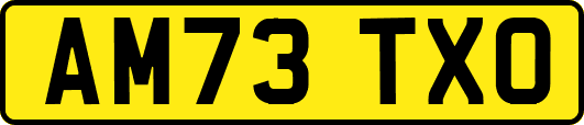 AM73TXO