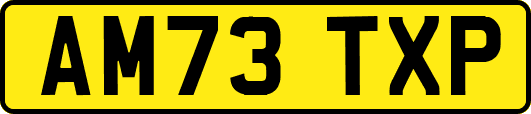 AM73TXP