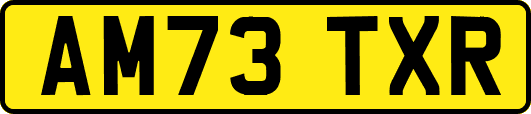 AM73TXR