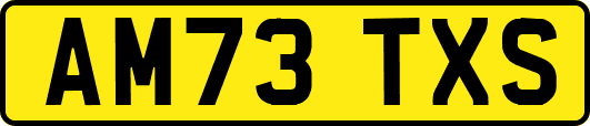 AM73TXS