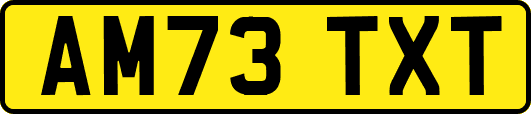 AM73TXT