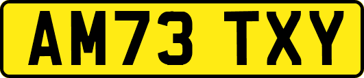 AM73TXY