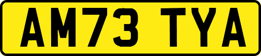 AM73TYA