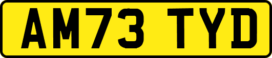 AM73TYD