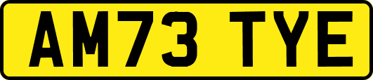AM73TYE