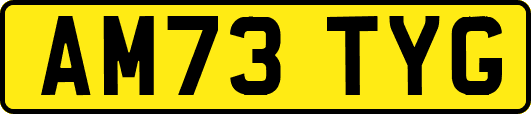 AM73TYG