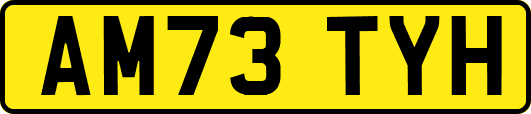AM73TYH