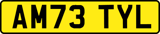 AM73TYL