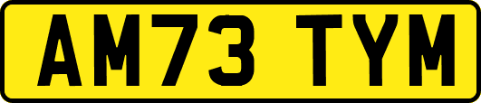 AM73TYM