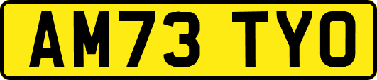 AM73TYO