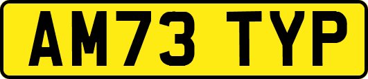 AM73TYP