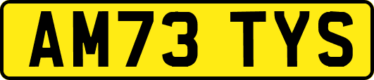 AM73TYS