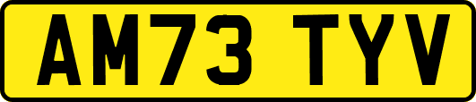 AM73TYV