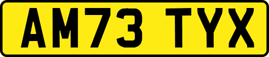 AM73TYX