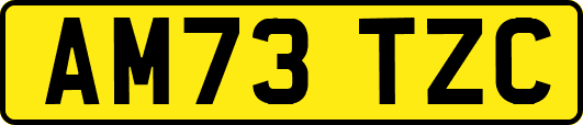 AM73TZC