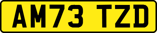 AM73TZD