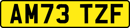 AM73TZF