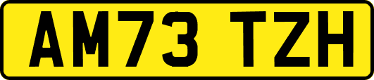 AM73TZH