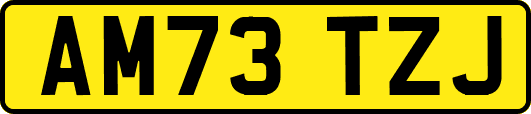 AM73TZJ