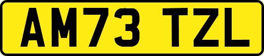 AM73TZL